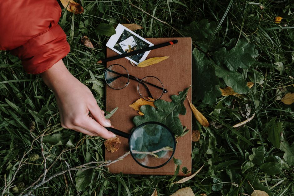 magnifying glass leaf