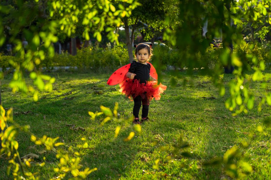 kid looking at bugs garden