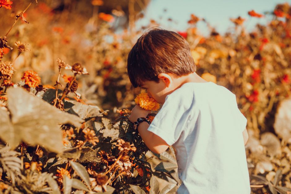 child smelling a flower outdoors