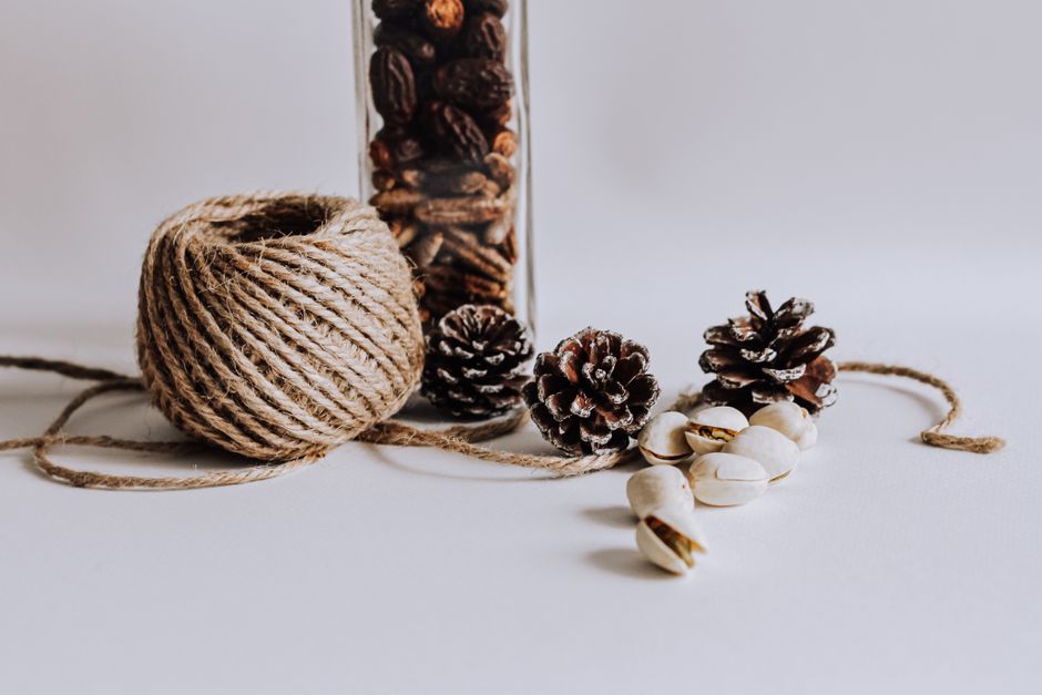 pinecones