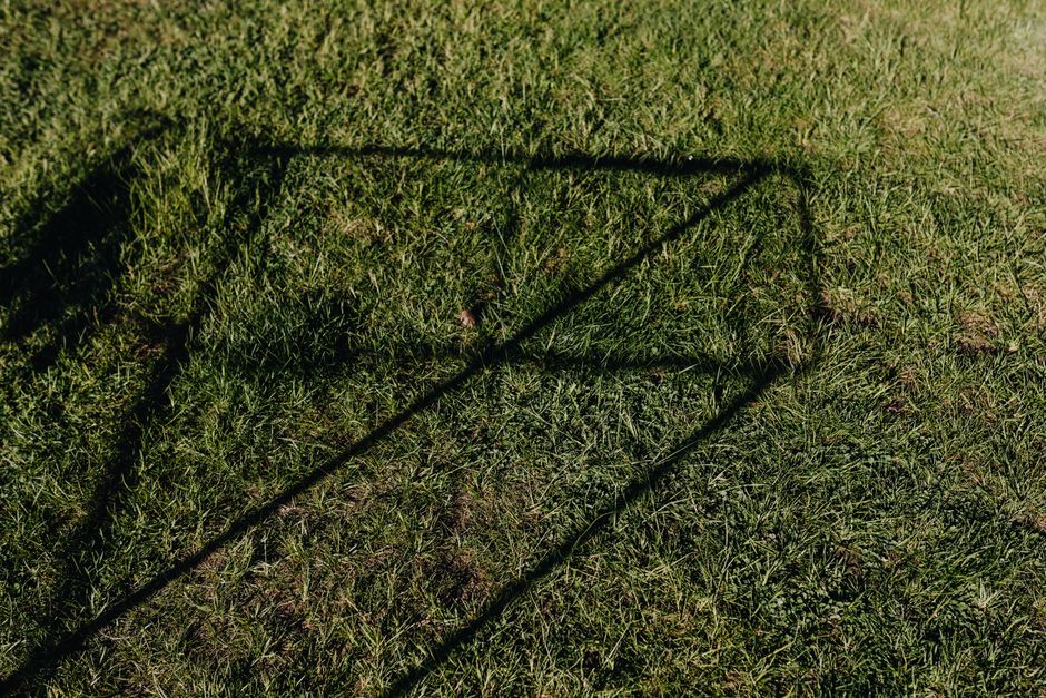 sunlight on lawn