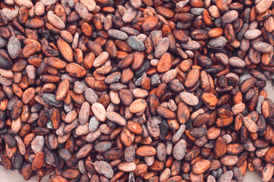 cocoa beans