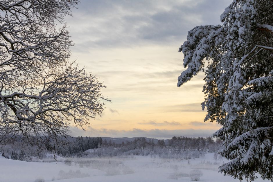 winter sunset snow