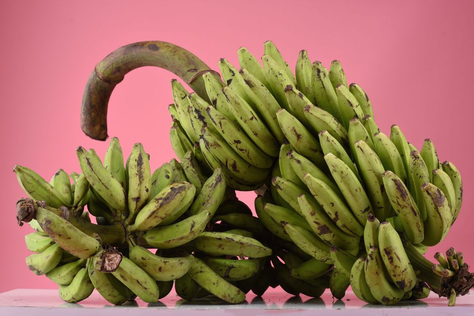 banana bunch