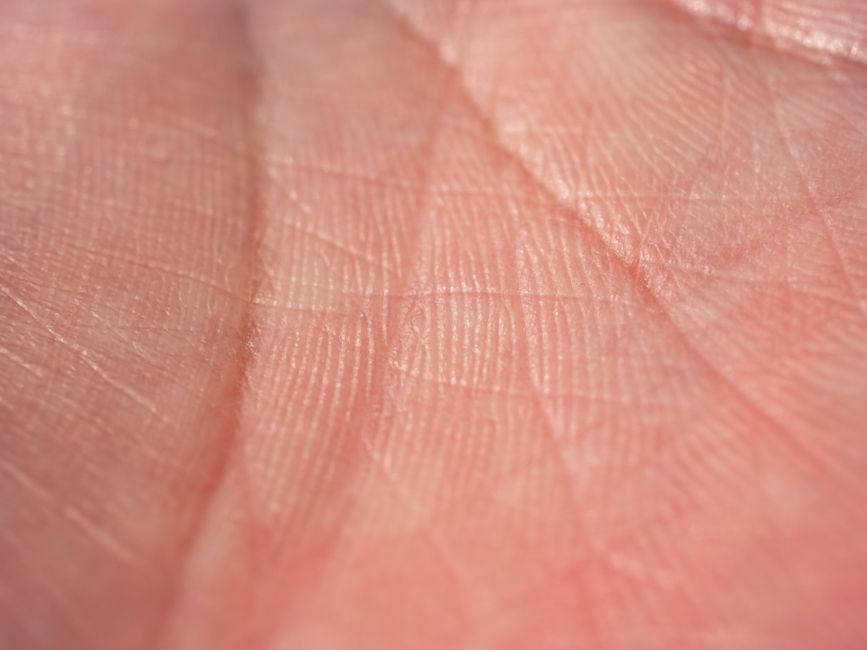 human fingerprint close up
