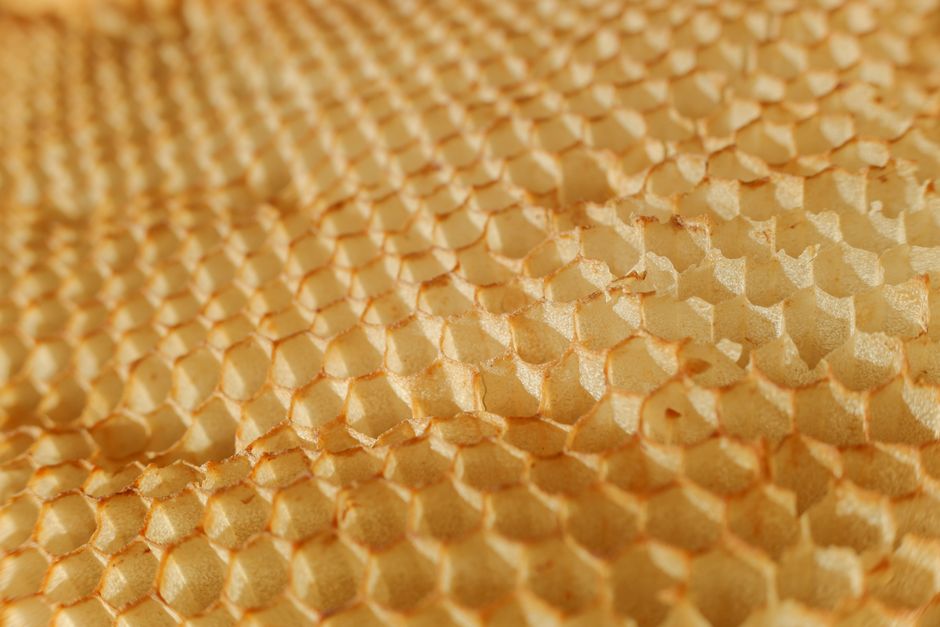honeycomb close up