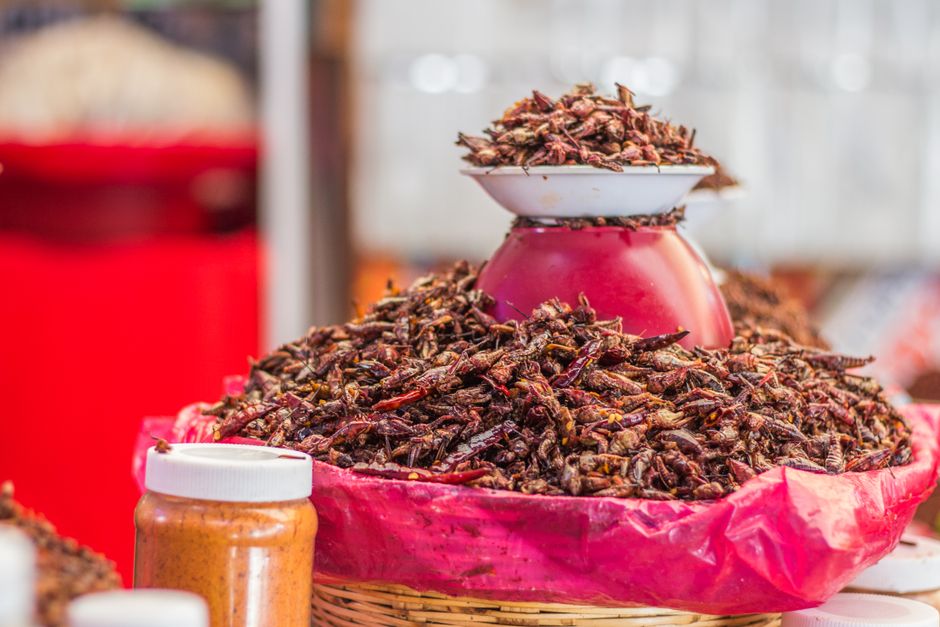 fried insects food